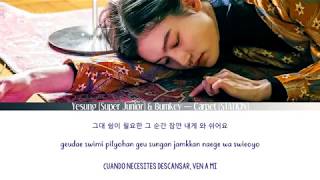 Yesung (Super Junior) & Bumkey — Carpet (STATION) [Sub Esp | Rom | Han]