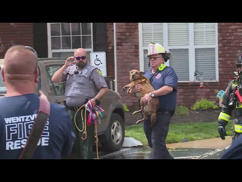 Pets rescued, no injuries following fire at O'Fallon, Missouri apartment complex