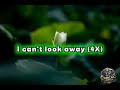 Mr P I Can T Look Away Official Lyrics Video