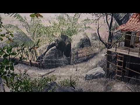 Qoitoro Tarinoiden Aito Sankari Sotilas Kuolematon Yksinäisyydessä