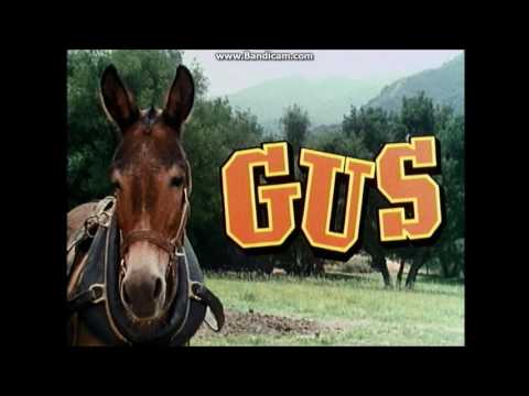 Conversations with Tim Conway