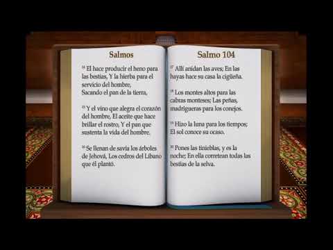 LA BIBLIA  SALMOS 97 AL 150  COMPLETO REINA VALERA ANTIGUO TESTAMENTO