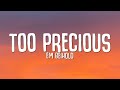 Em Beihold - Too Precious (Lyrics) Em Beihold - Too Precious (Lyrics)