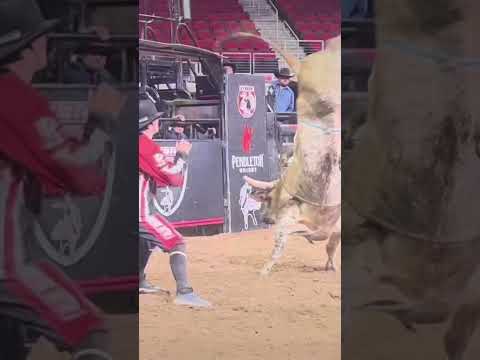 #953 July getting high marked bull in Fresno