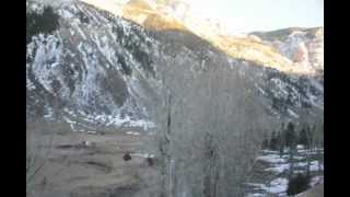 preview picture of video 'Aspen to Teluride Colorado Elk herd'
