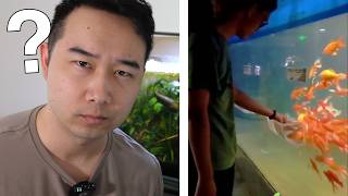 Fish tank videos if you didn't see it you won't believe | Fish Tank Review 308