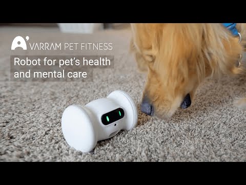 Leobotics - Varram Pet Fitness 16 モーター動物ロボット