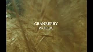 6. Cranberry Woods