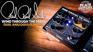 Video thumbnail for Let's Test PRS's "Wind Through The Trees" Dual Flanger! | 5 AWESOME Tones You NEED To Try! by Peach Guitars