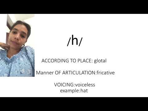 English phonetics *consonants phonems * Flor A.Feliz Matos (100391919)