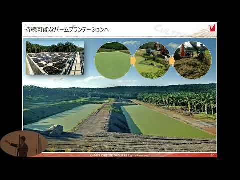 気候変動に直面して私たちの庭に植えるのに最も抵抗力のある木は何ですか?  庭園