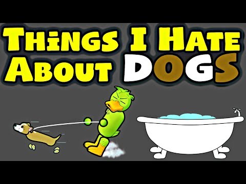 Things I Hate About Dogs (As A Dog Owner)