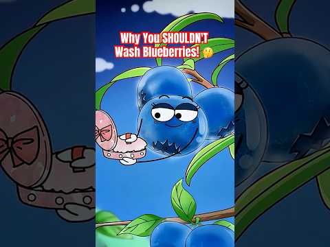 Why You SHOULDN'T Wash Blueberries! 🤔 #shorts #blueberries