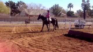 Esther Hiller, Ty, Talisman farm 1.18.13