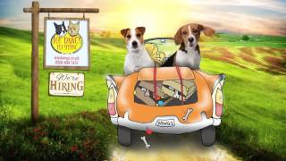 TOP DAWGS PET SITTING - LONDON