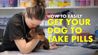 Sneaky Way for How to Get Dogs to Take Pills