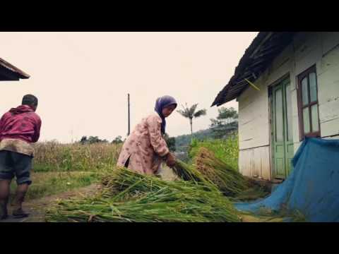 Jika seorang pria mulai impotensi Apakah jumlah sperma mempengaruhi potensi
