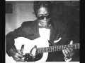 Lightnin' Hopkins   A Man Like Me Is Hard To Find