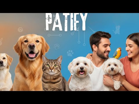 Patify: Lost & Adopt Pets video thumbnail