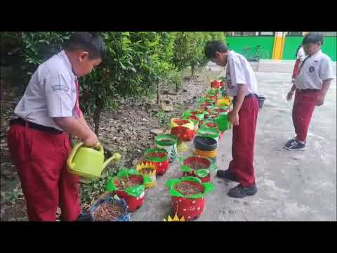 Urban Sustainibility Education" di Lingkungan Sekolah SDN Duri Kepa 13