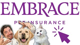 How To Get Pet Insurance.  Embrace Pet Insurance