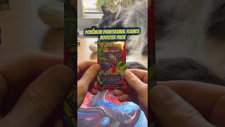 Pokémon Phantasmal Flames booster cat!