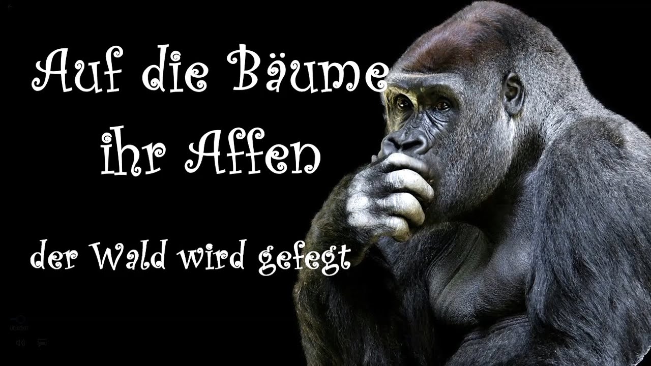 Auf die Bäume ihr Affen, der Wald wird gefegt - Karnevalsschlager + English Translation