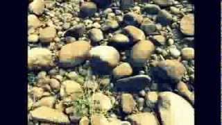 Take a Look Around You. (My First Stop Motion Video)