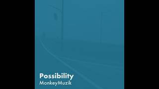 Possibility
