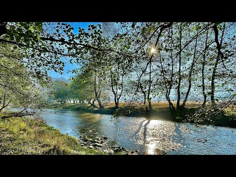 Vanja Sky Interview - Open Air Blues Festival Brezoi 2025