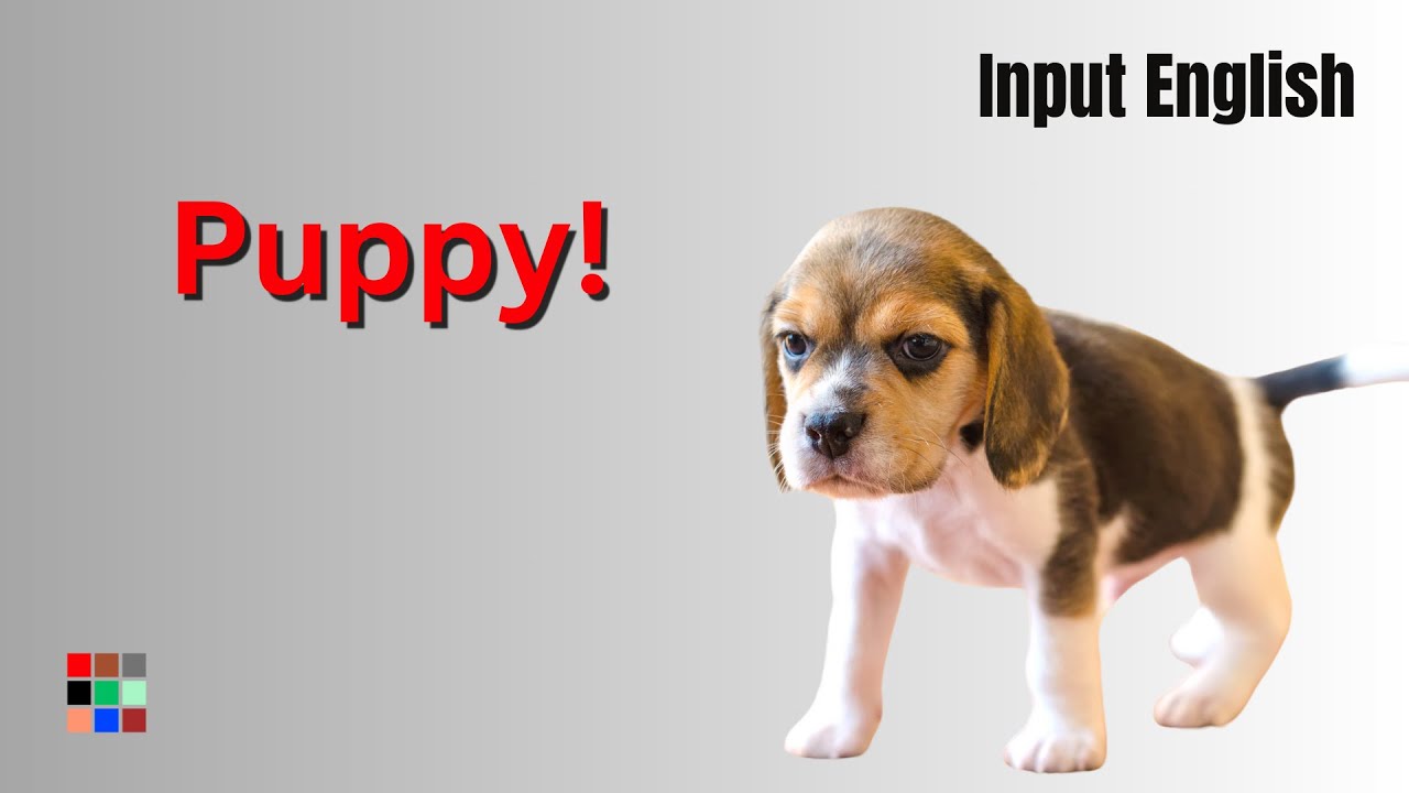 The Family Gets a Little Puppy - Learn English with Stories