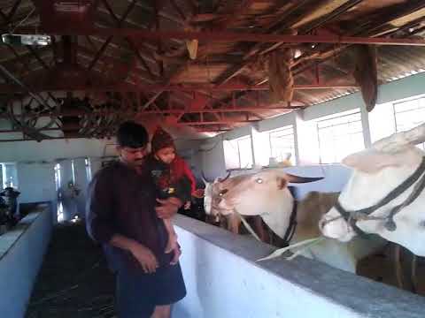 amogh with me at our  farm house