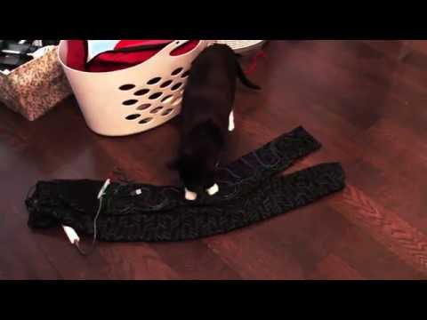 Make EL materials touch sensitive!