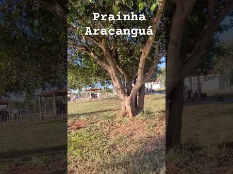 Prainha Aracanguá -Santo Antonio do Aracanguá SP