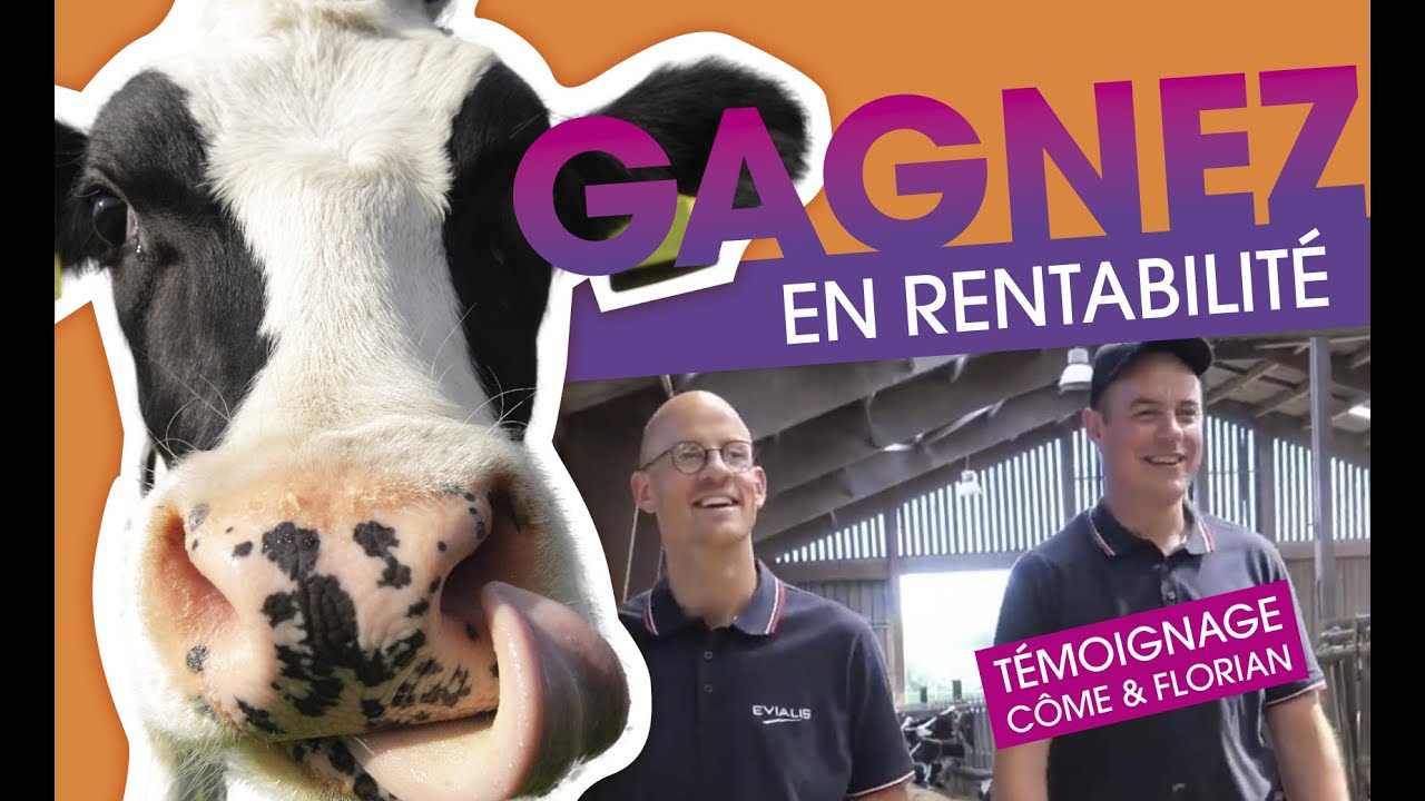 Vaches laitières : ils ont investi dans leur ration pour améliorer leur rentabilité