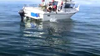 preview picture of video '2012 Craig, Alaska Fishing Adventure'
