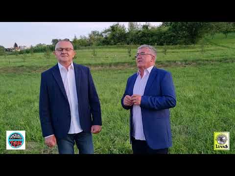 Dajak i Majo - Jedna noć - Novo 2023. (official video Music)