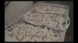 Наживка dynabait dry lugworms