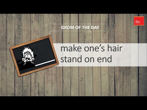 Vocab Shorts - make one's hair stand on end.