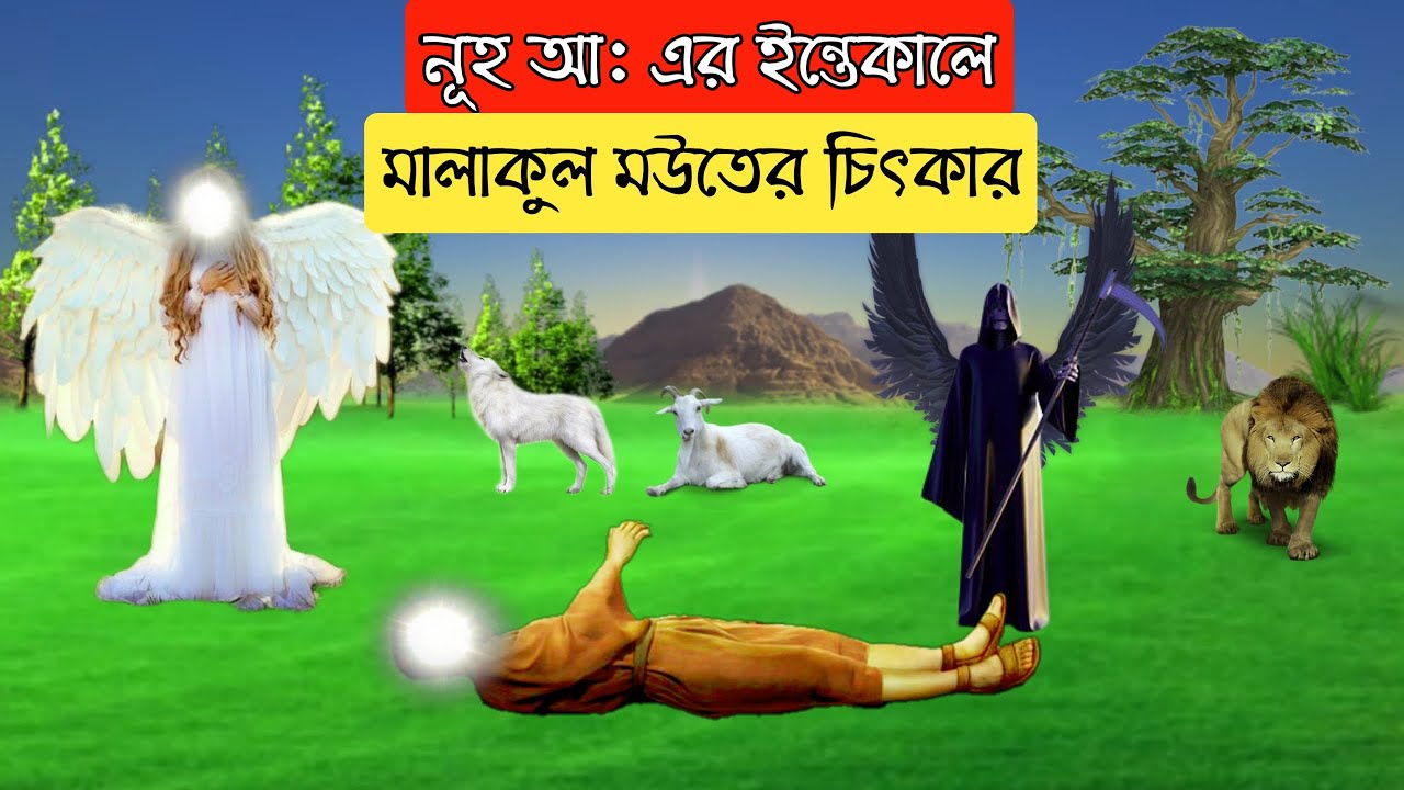হযরত নূহ আ: এর ইন্তেকালের দিন সকালে যা ঘটেছিল || Hazrat Nooh A.S
