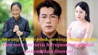 Seorang CEO terjebak meninggalkan ibunya. Dan satu-satunya harapannya adalah menemukan ibunya!