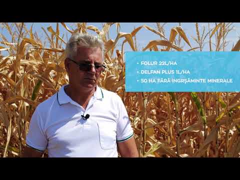 Interviu Buzdugan Ion Delfan Plus Chemark Rom