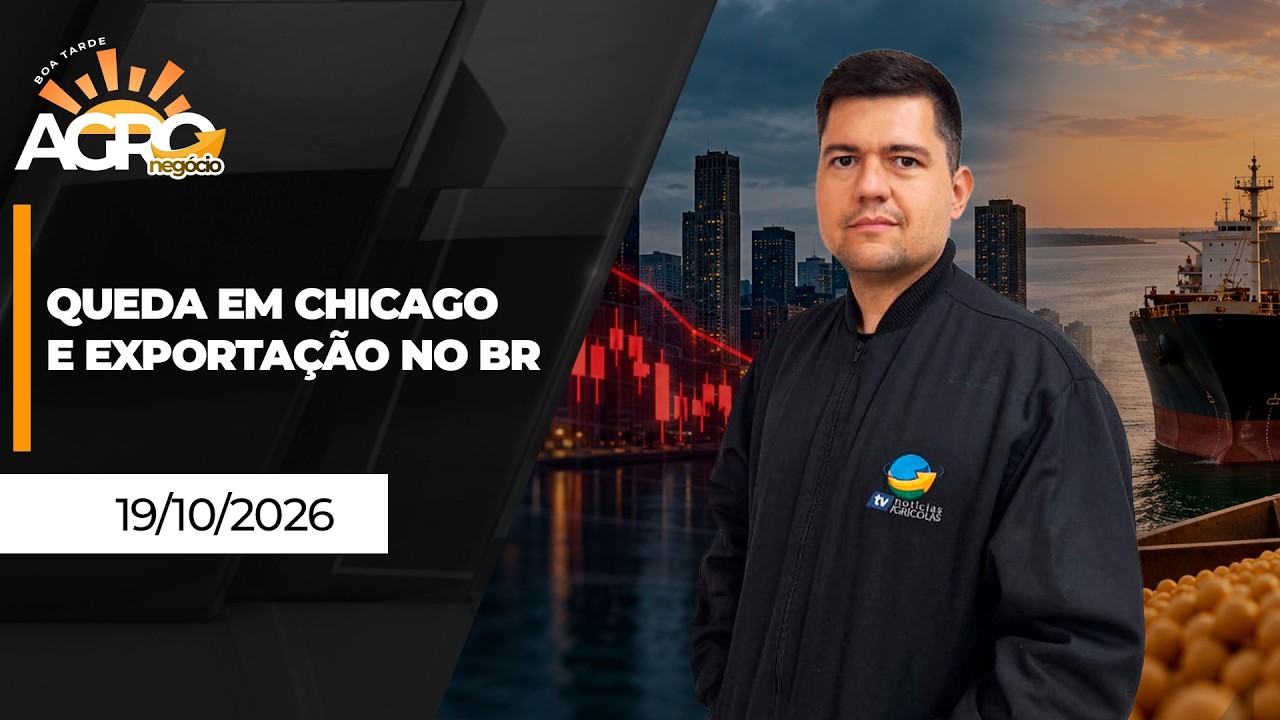 BOA TARDE AGRO - Queda em Chicago e exportação no BR