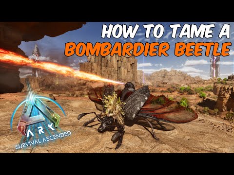 How To Tame a Bombardier Beetle in ARK Survival Ascended