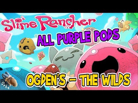 Slime Rancher - All Purple Treasure Pods - Ogden's The WIlds