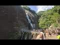 ஆயிரம் கண் போதாது வண்ணக்கிளியே