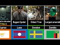 World Records From All 195 Countries