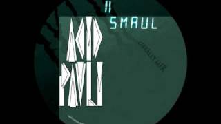 [Smaull 11] Acid Pauli - Flamenco (Moog Conspiracy & Breger Remix)