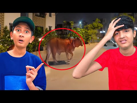 Vampire ki Cow bagh gi!