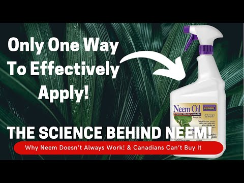 Why Neem Oil Doesn’t Always Work! The Science Of Neem Oil For Plants & Soil | Scientist Explains